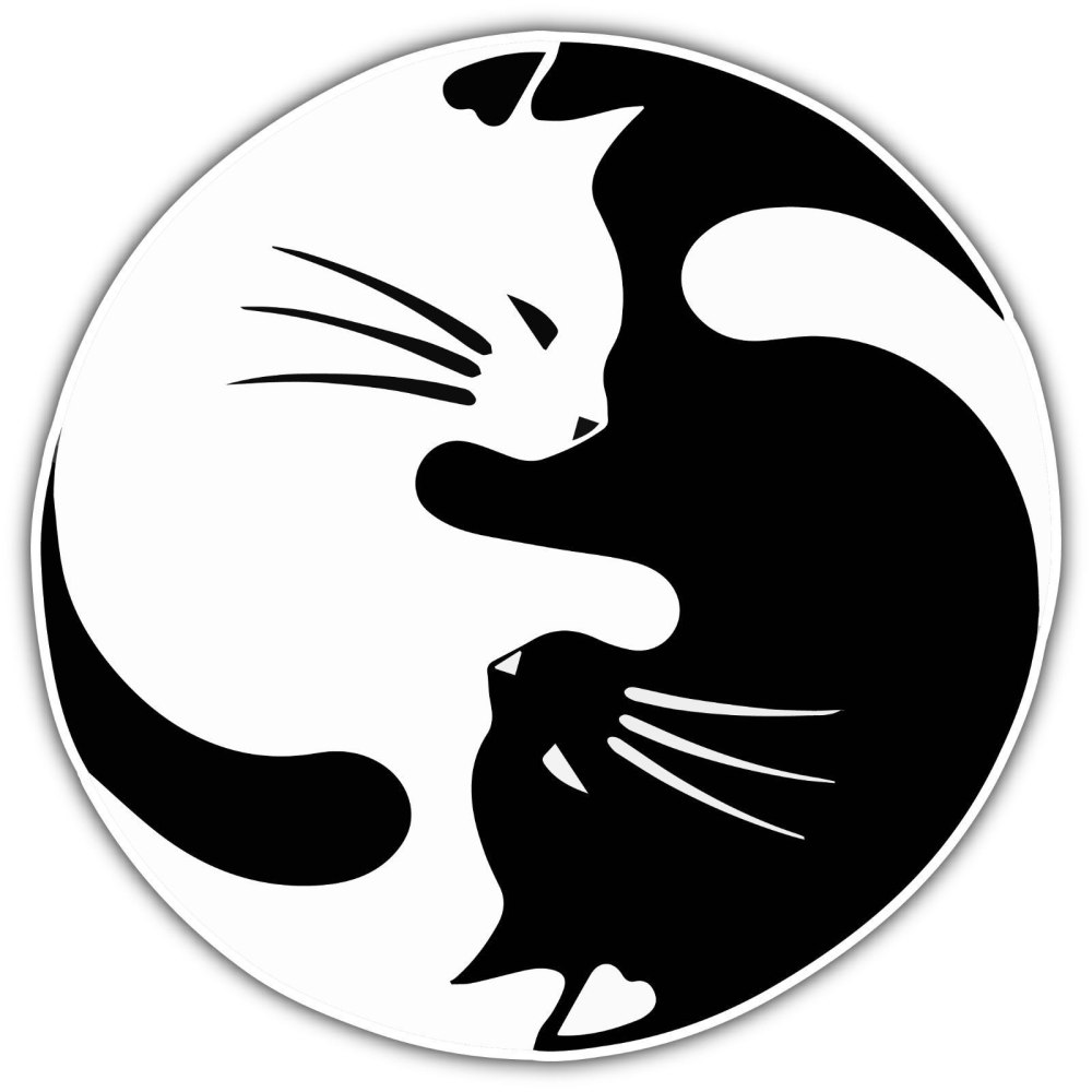 Обои на рабочий стол Инь Янь