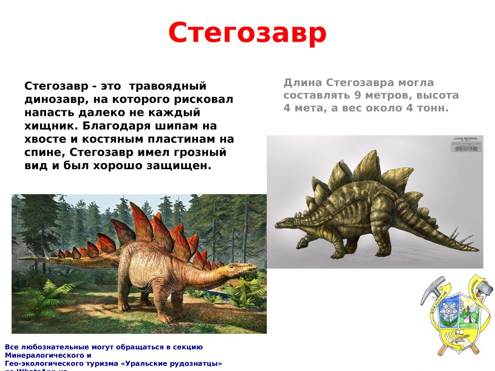 Информация о динозаврах