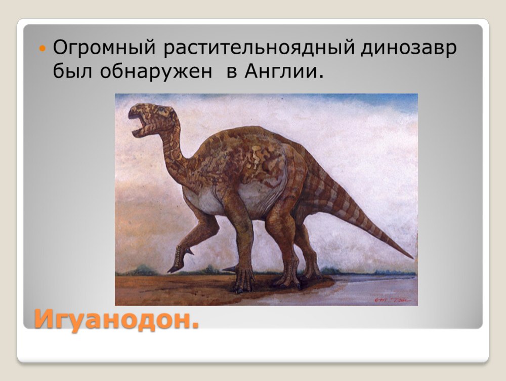 Тираннозавр биология