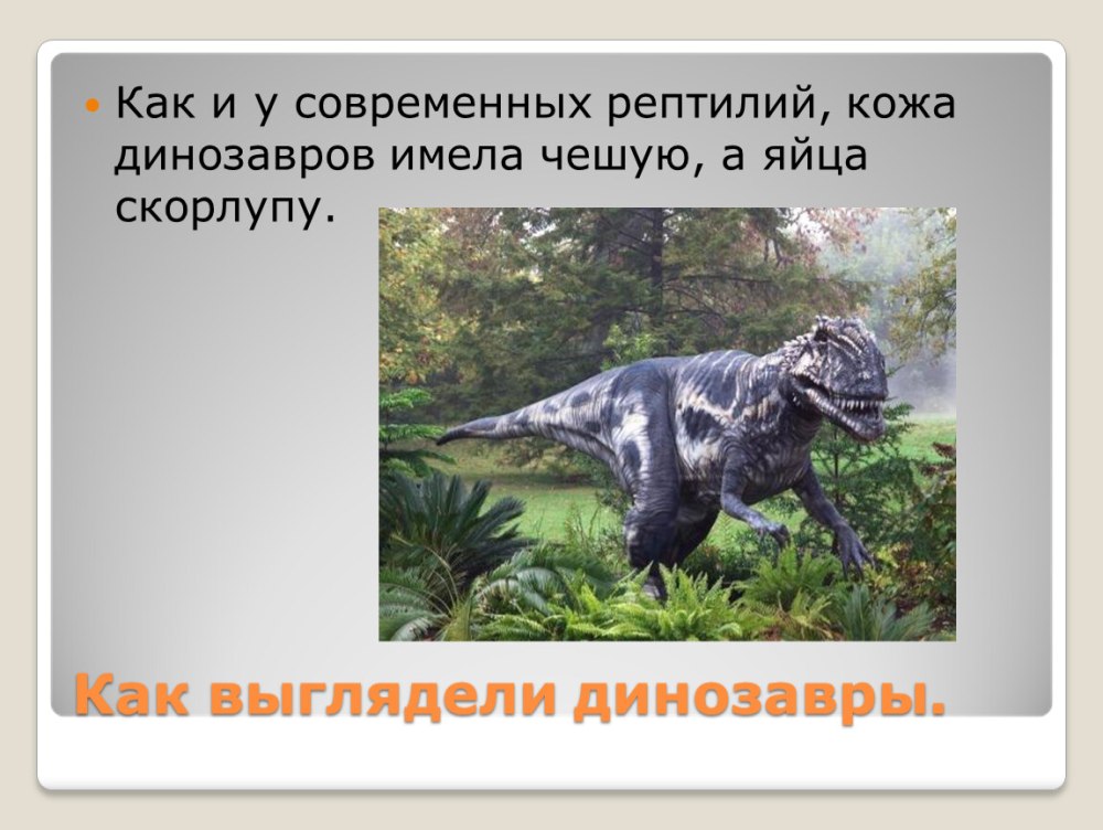 Мир динозавров презентация