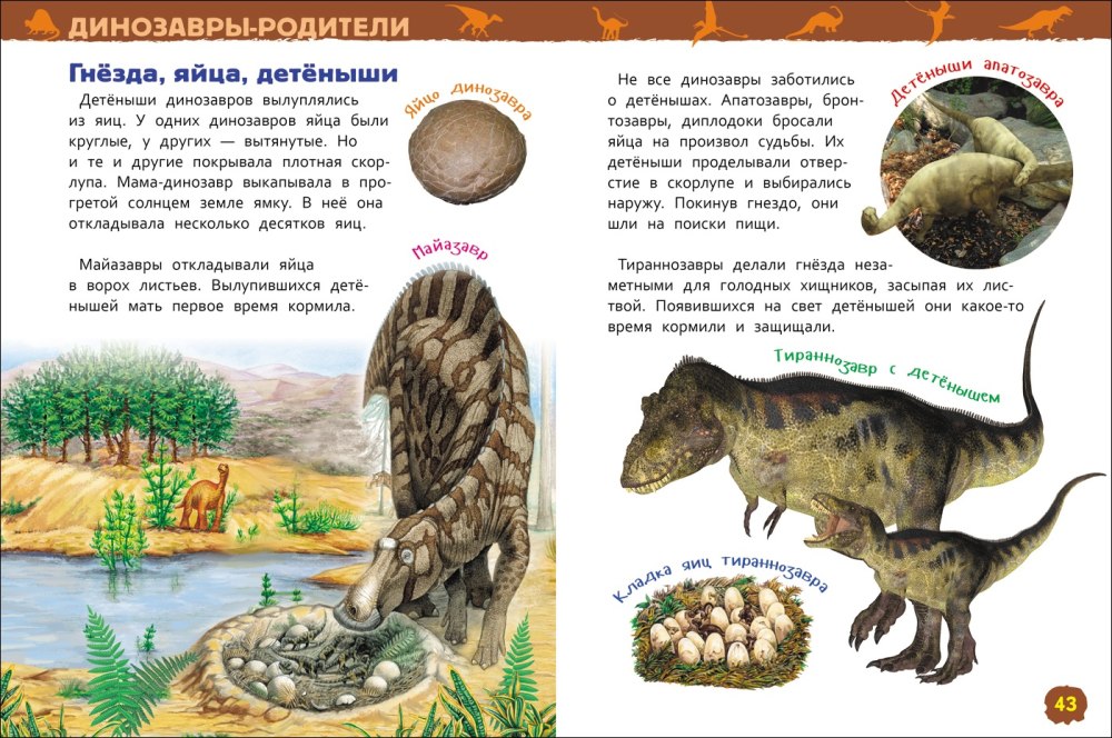 Брахиозавр сообщение для 1 класса