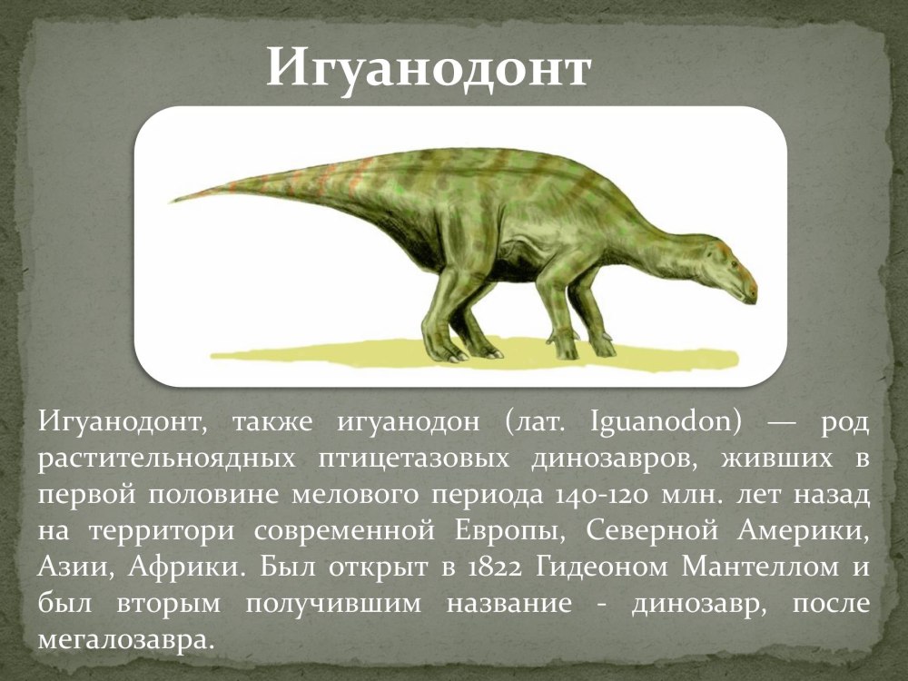 Динозавры описание
