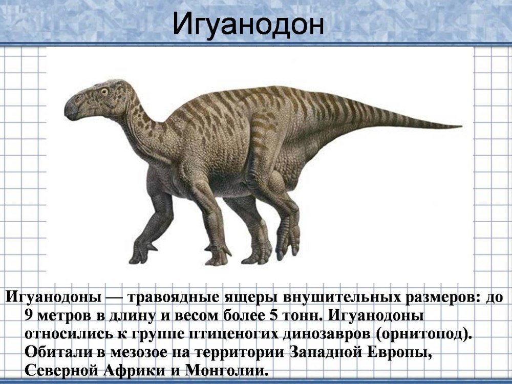 Изучение динозавров для детей