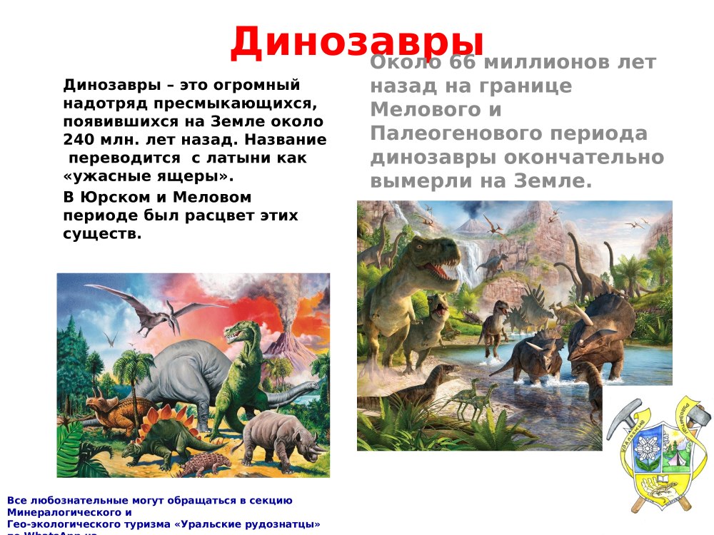 Динозавры презентация