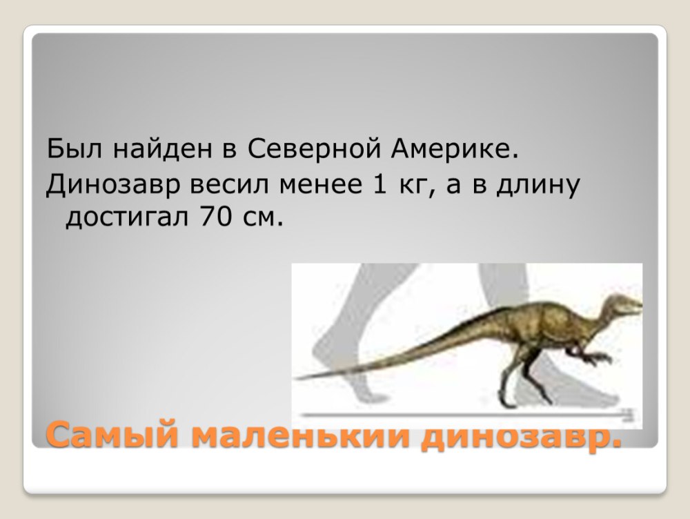 Обои с динозавриками