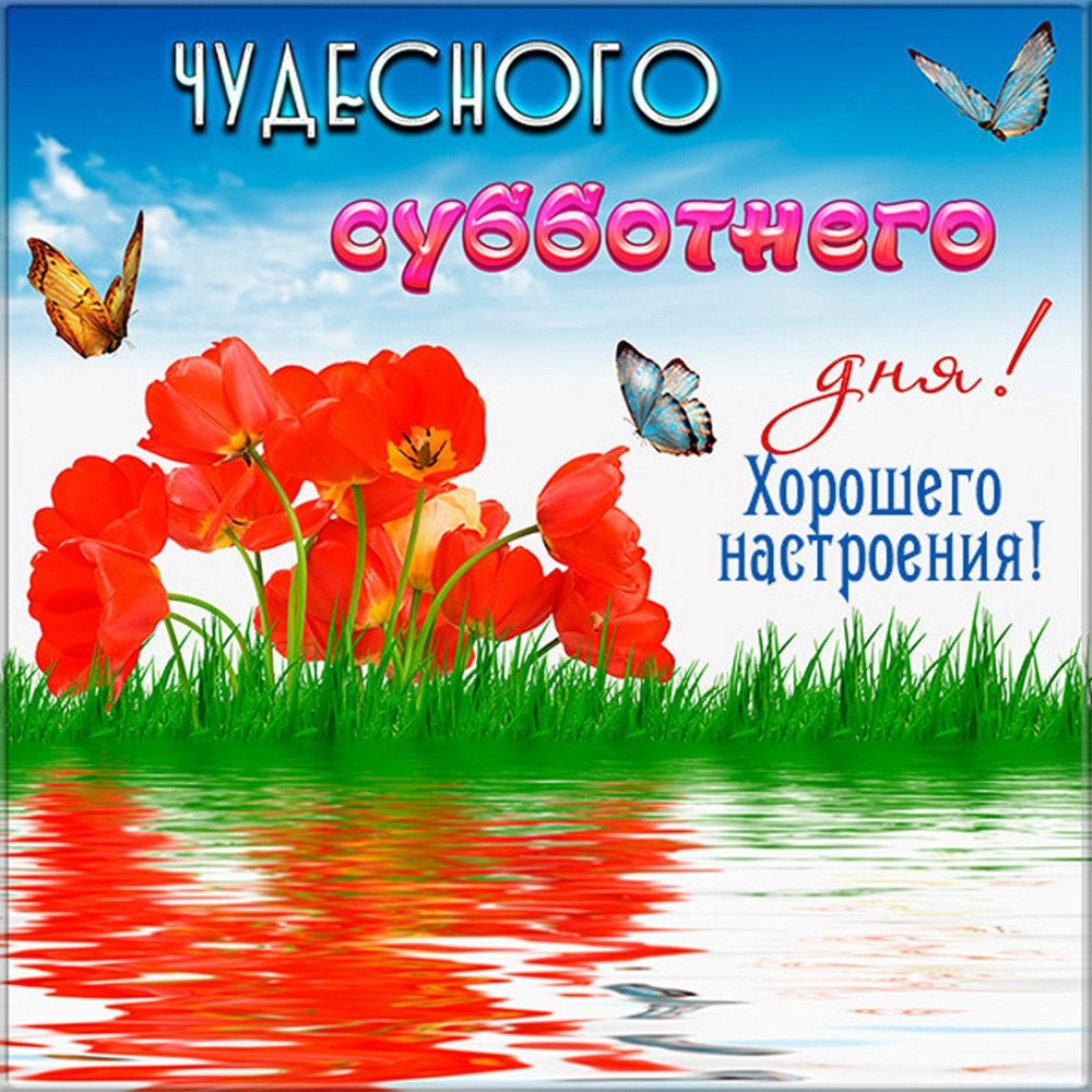 Подсолнухи на окне