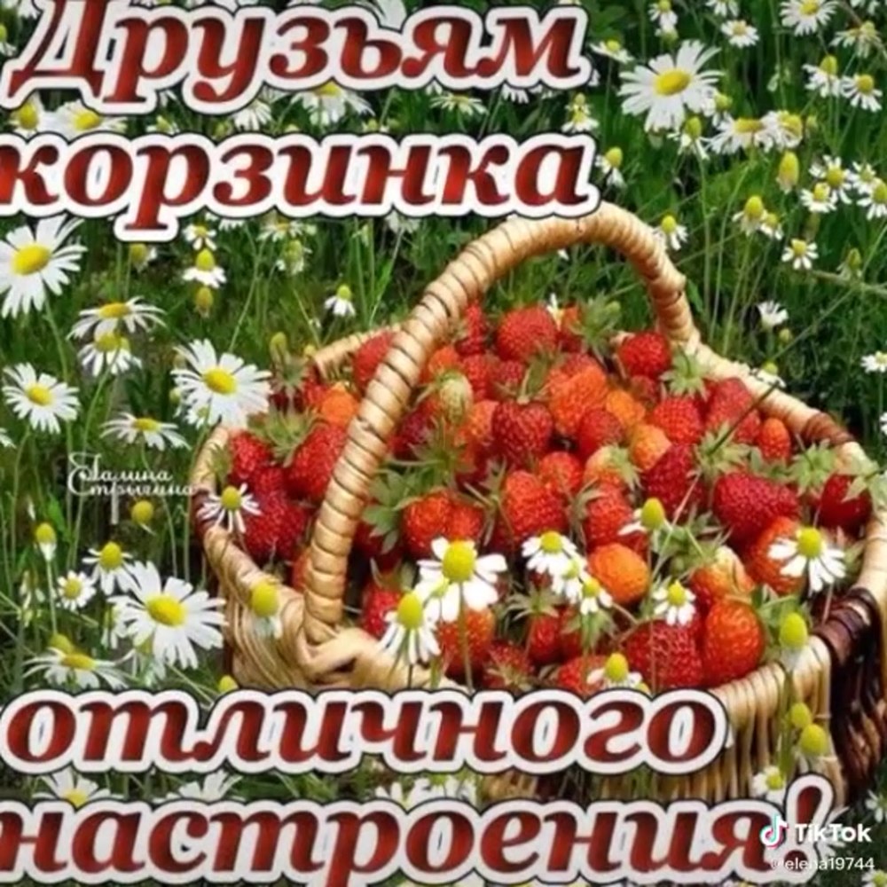 Необычные поздравления с добрым утром