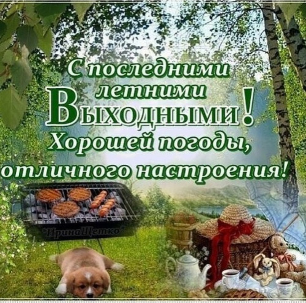 Доброе дождливое утро