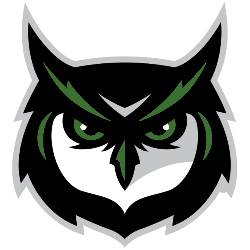 Kennesaw State лого