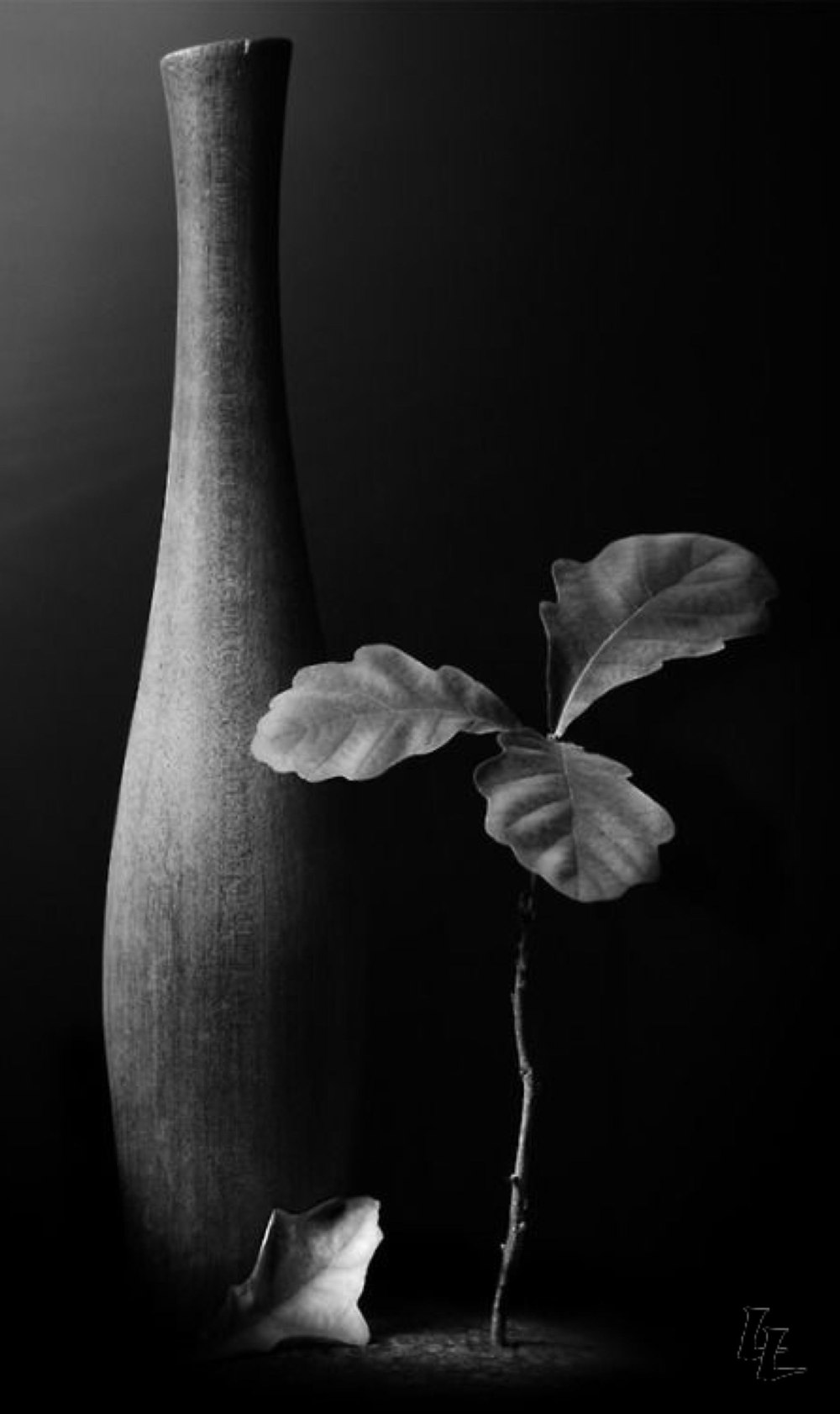 Christian Coigny фотограф