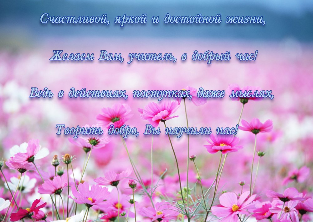 Розовые пионы и книга