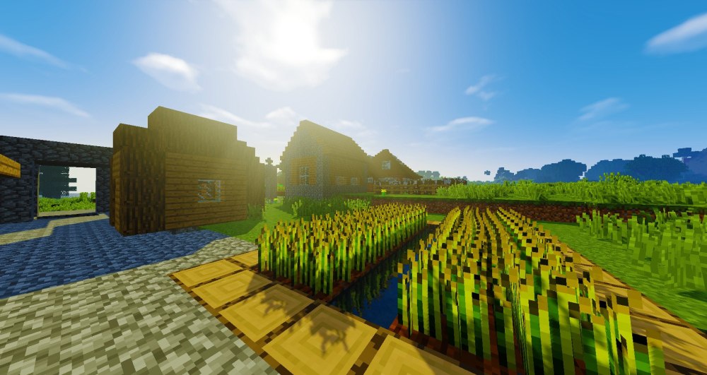 Minecraft деревня 1.1.4