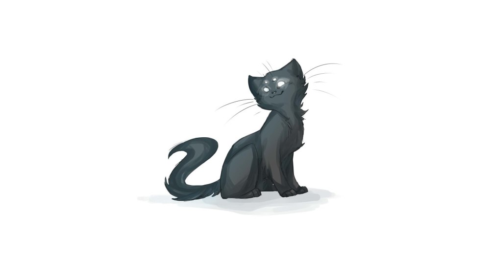 Котенок на прозрачном фоне