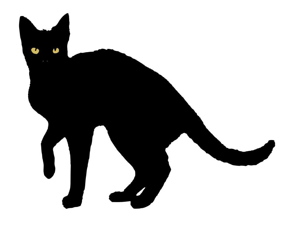 Кот на белом фоне мультяшный