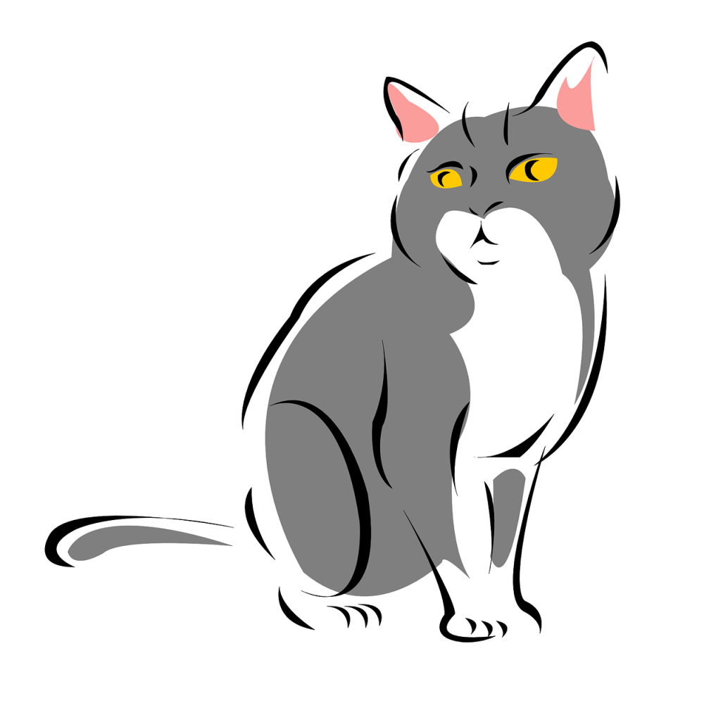 Кошка на белом фоне