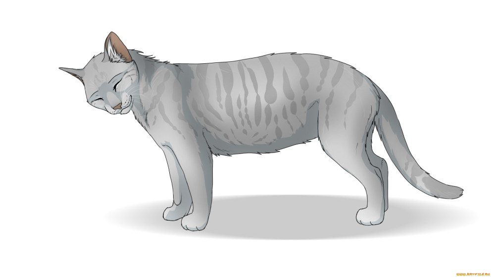 Кошачий силуэт