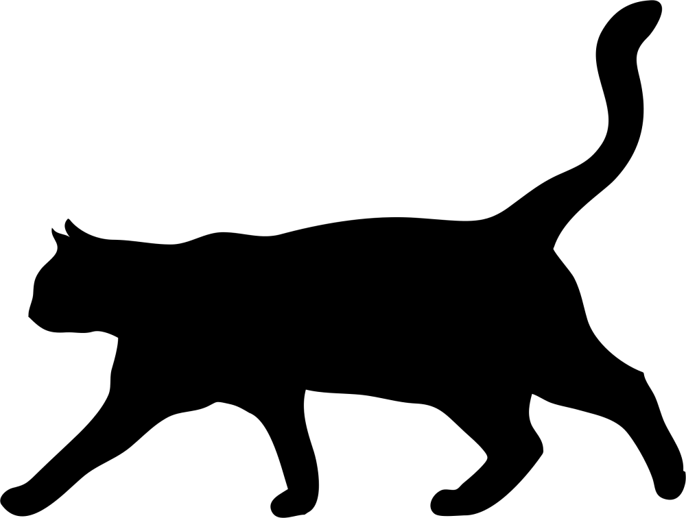 Кот рисунок