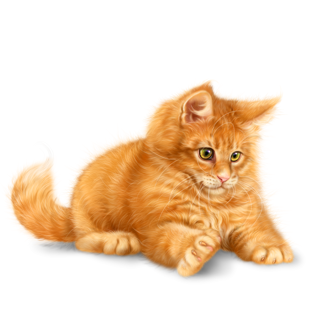 Черная кошка