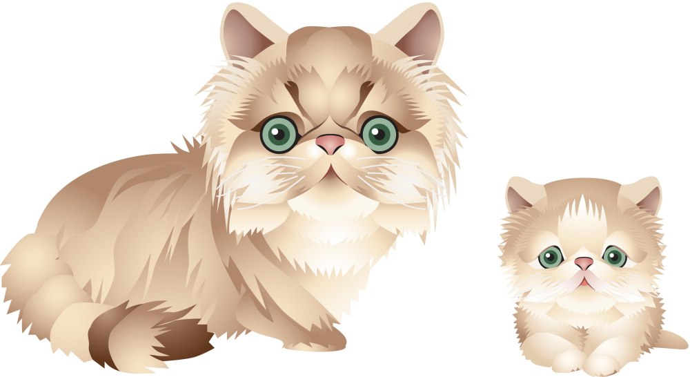 Черная кошка силуэт