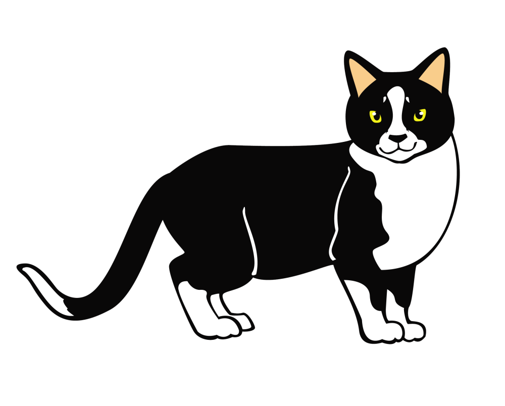 Кот на белом фоне мультяшный