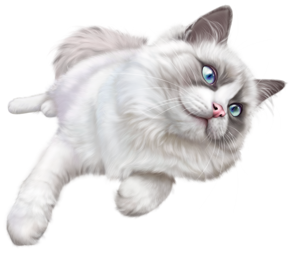 Отрисовка кошечка