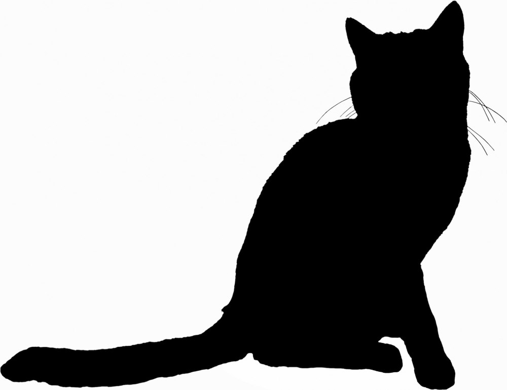 Коты Аристократы кошечка Мари