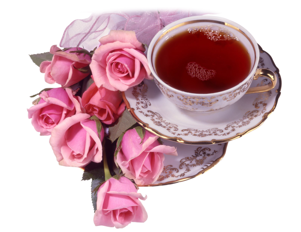 January_Rose
