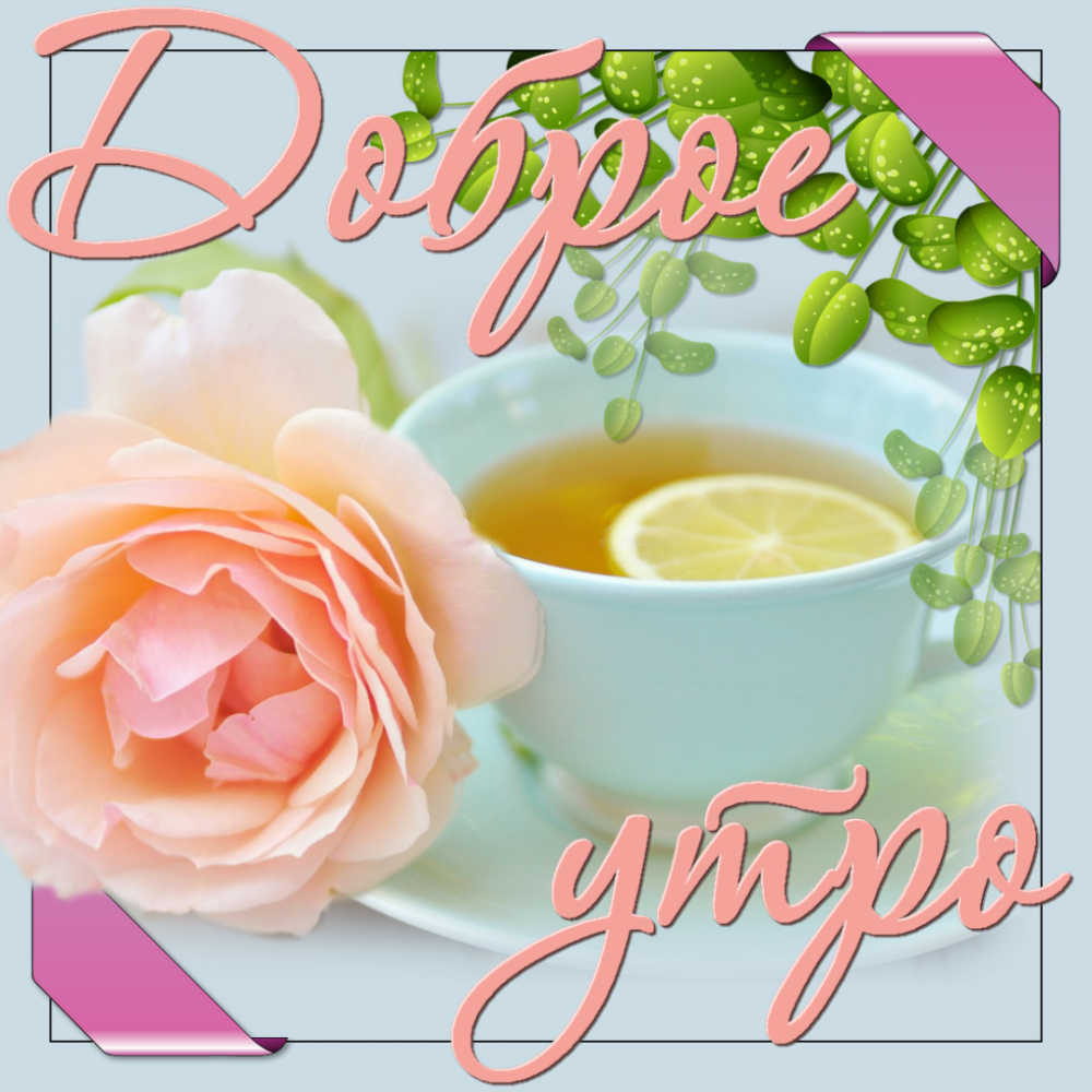 Улыбнитесь новому Дню
