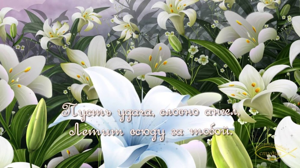 С днём рождения лилии