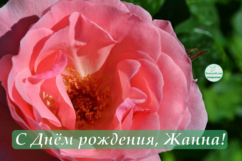 Жанна с днём рождения поздравления