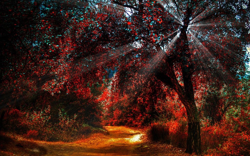 Природа ранняя осень