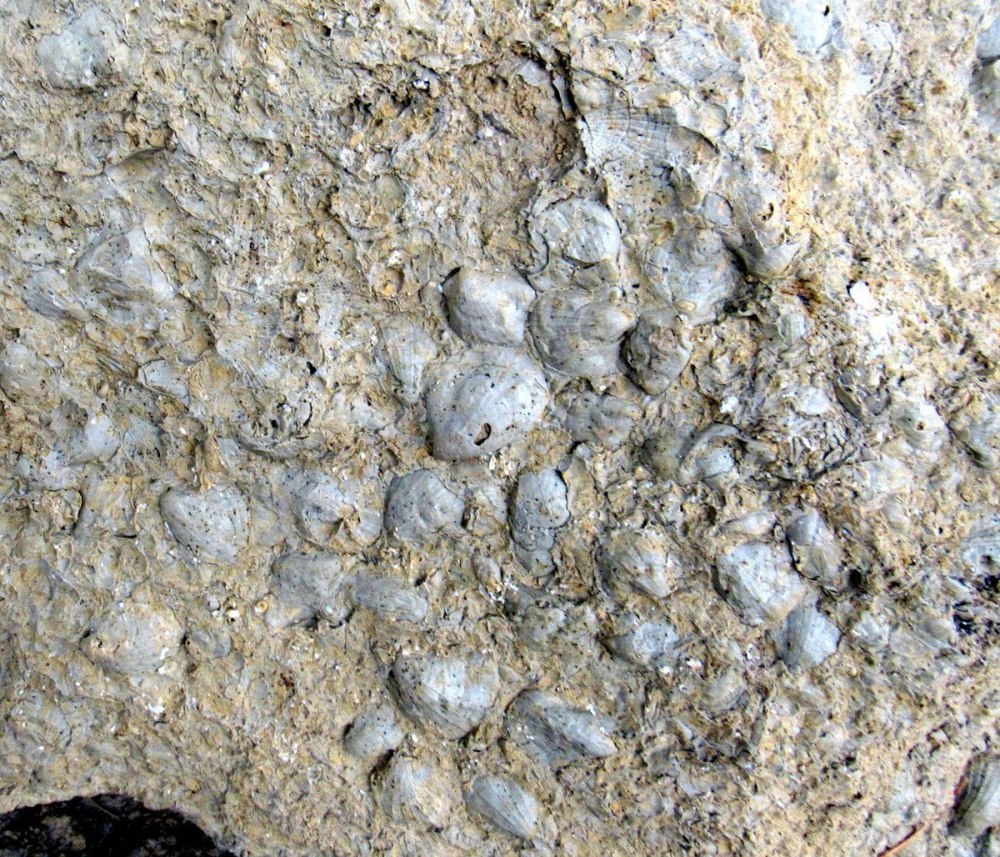 Breadcrumbs background image