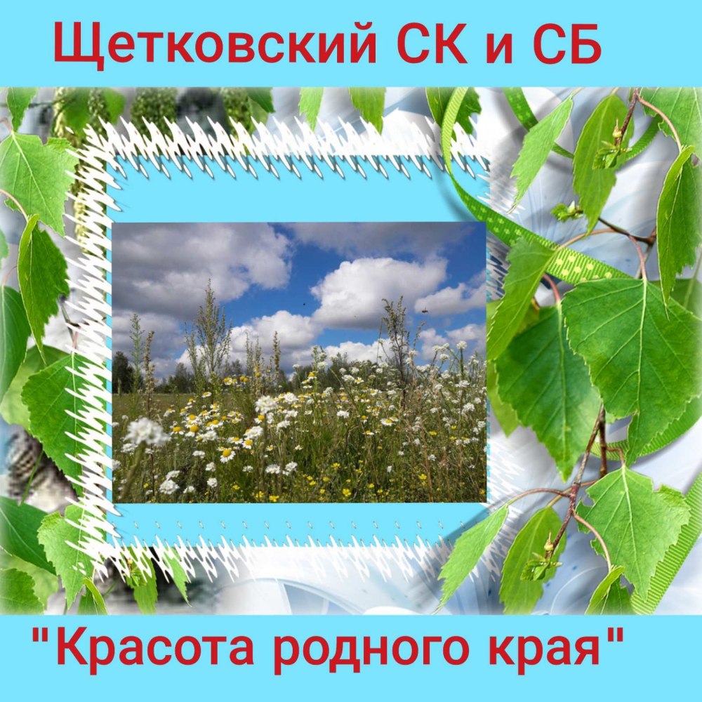Природа для презентации