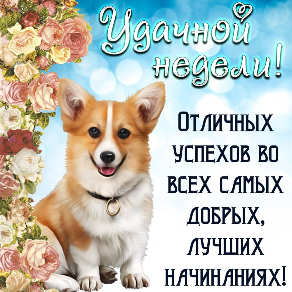Открытки с пожеланием хорошей недели