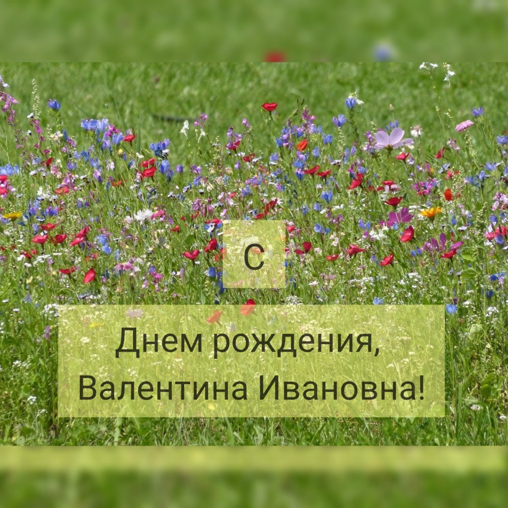 С днем рождения Валентина Ива