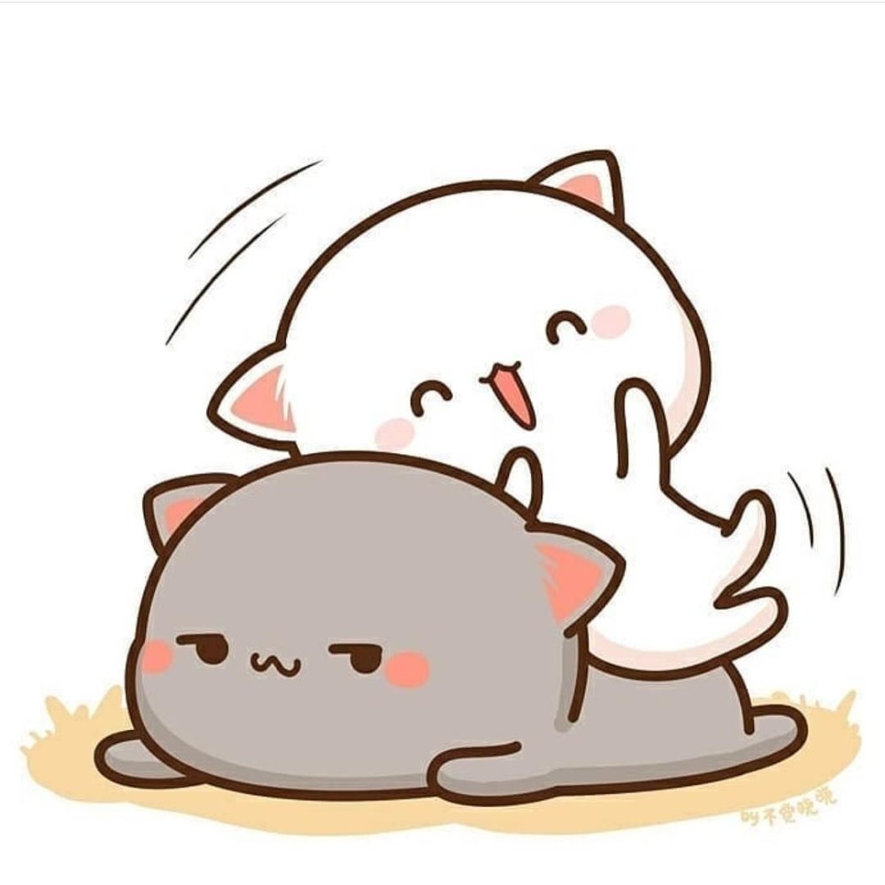 Кавайные котики любовь