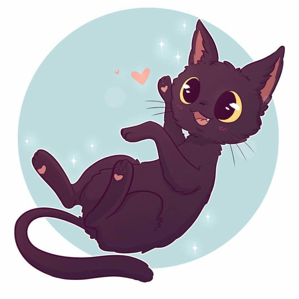 Кавайный котик