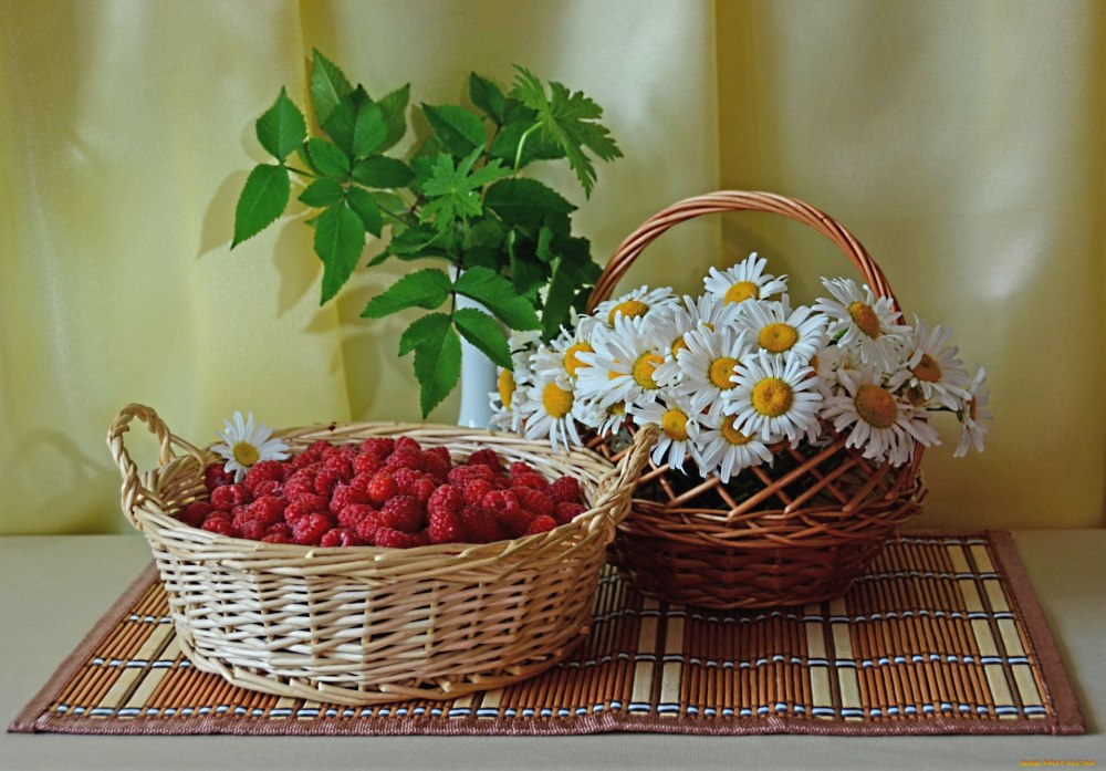 Корзинка с ромашками и ягодами