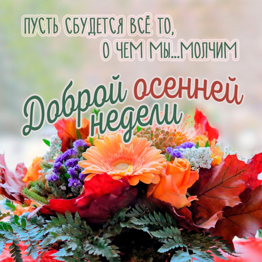 Доброе осеннее утро понедельника