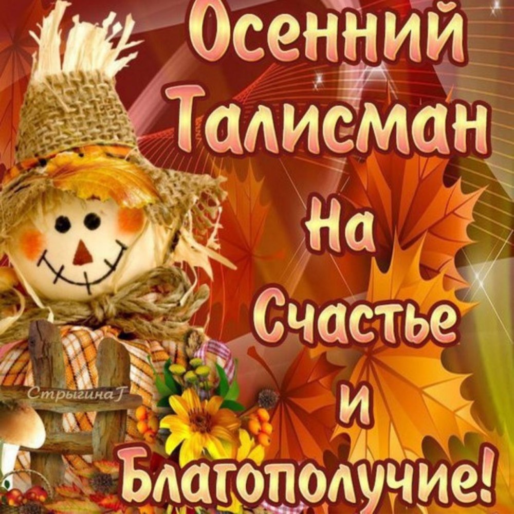 Доброе дождливое осеннее утро