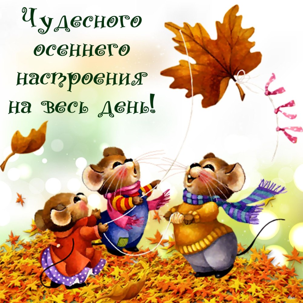 Успешной недели