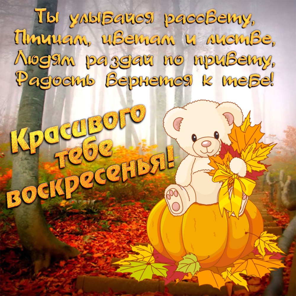 Открытки с добрым утром пятницы