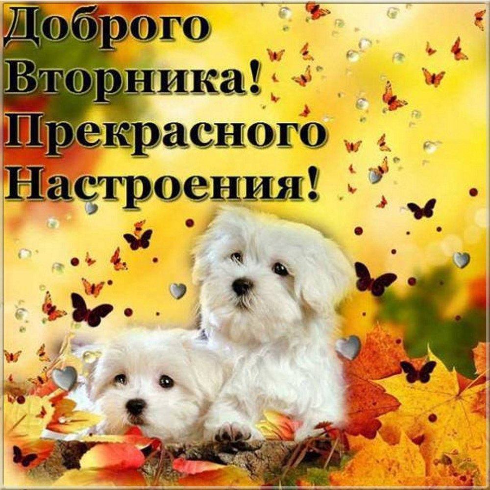 Пожелания на воскресенье