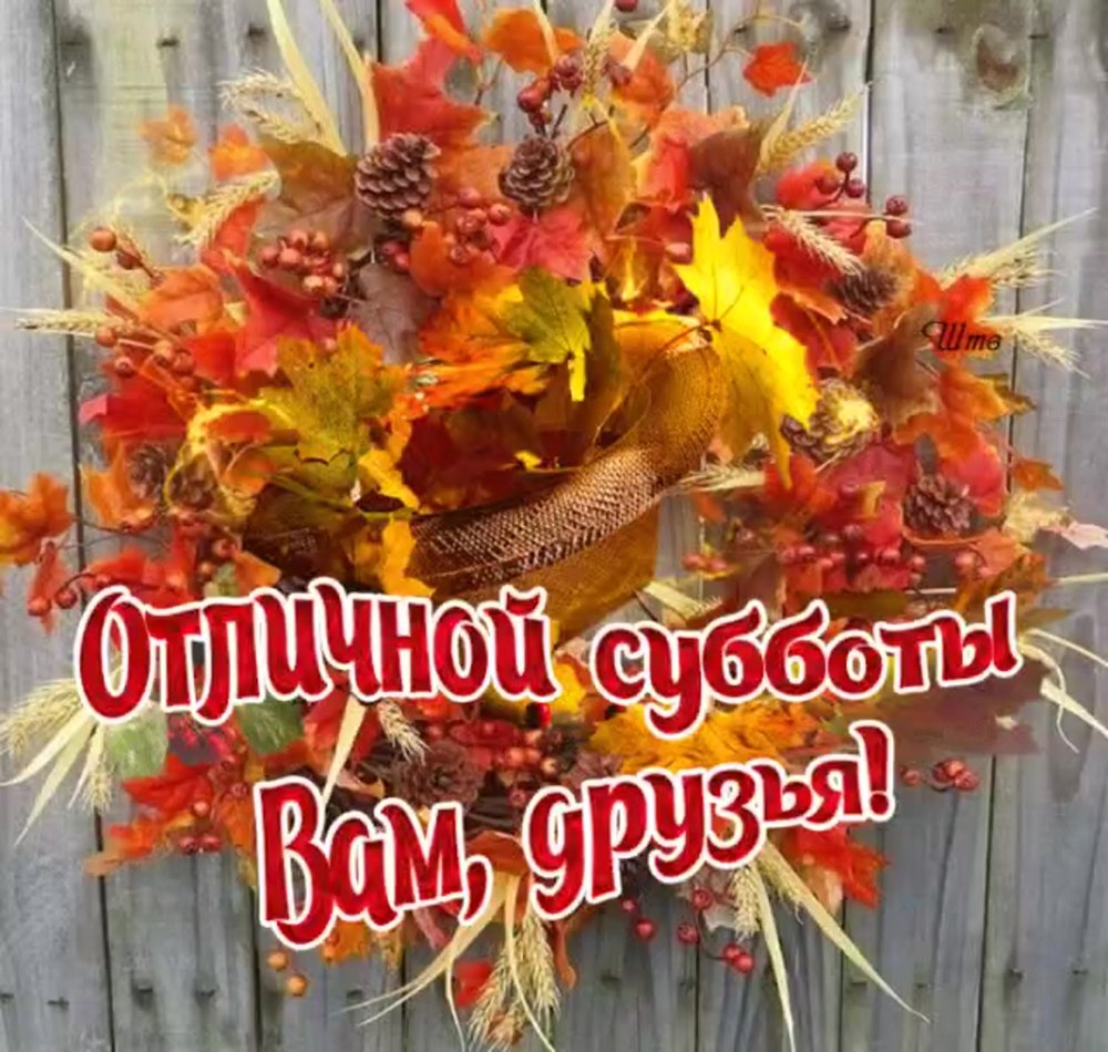 Рыжий кот осень