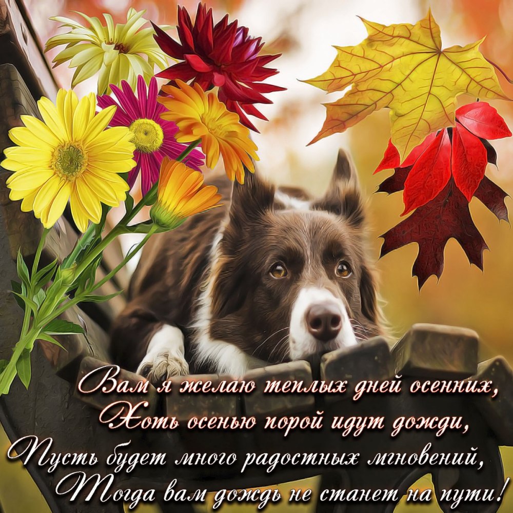 Настроение цитаты