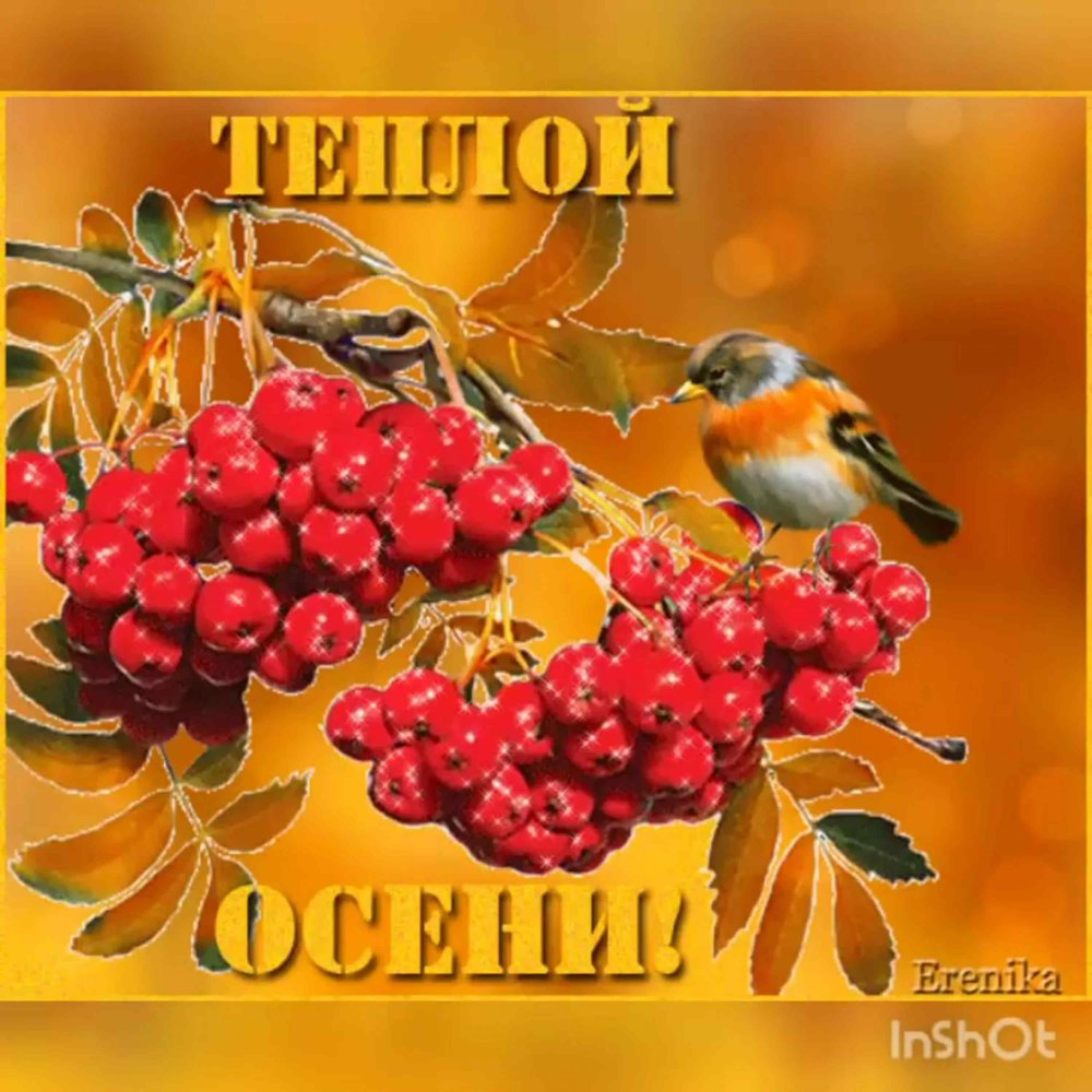 Открытки с теплыми пожеланиями