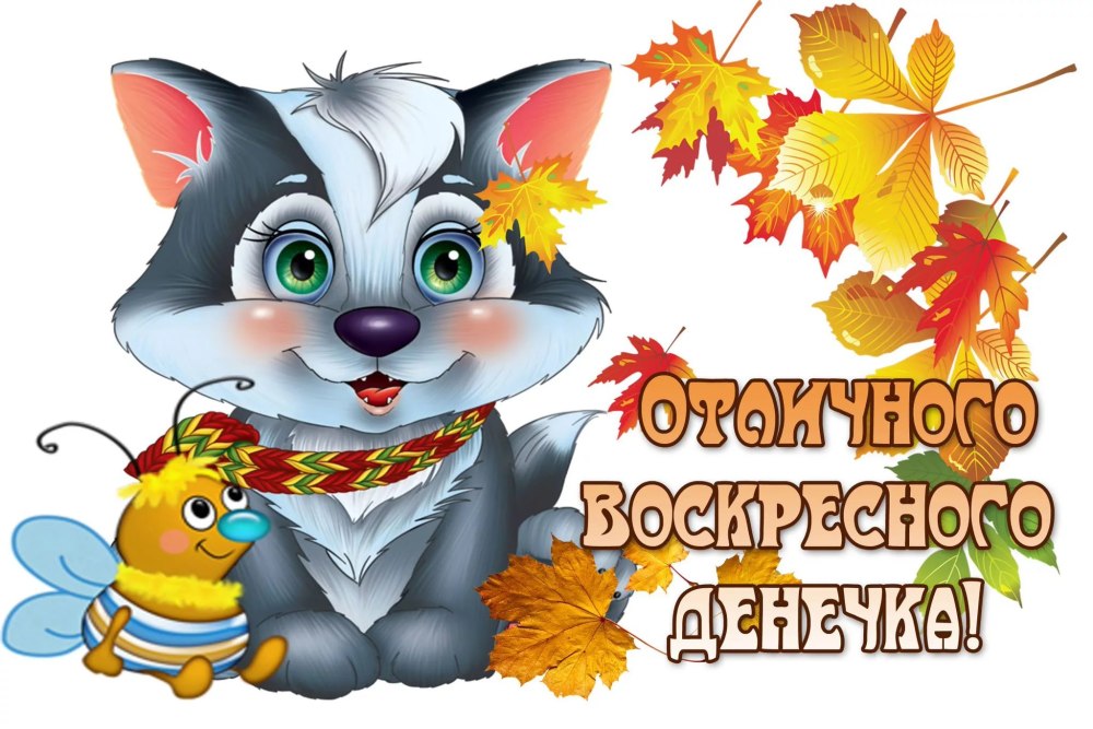 Осенняя пора