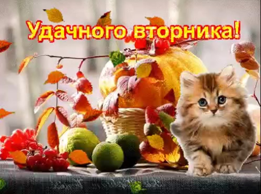 Осенние пожелания