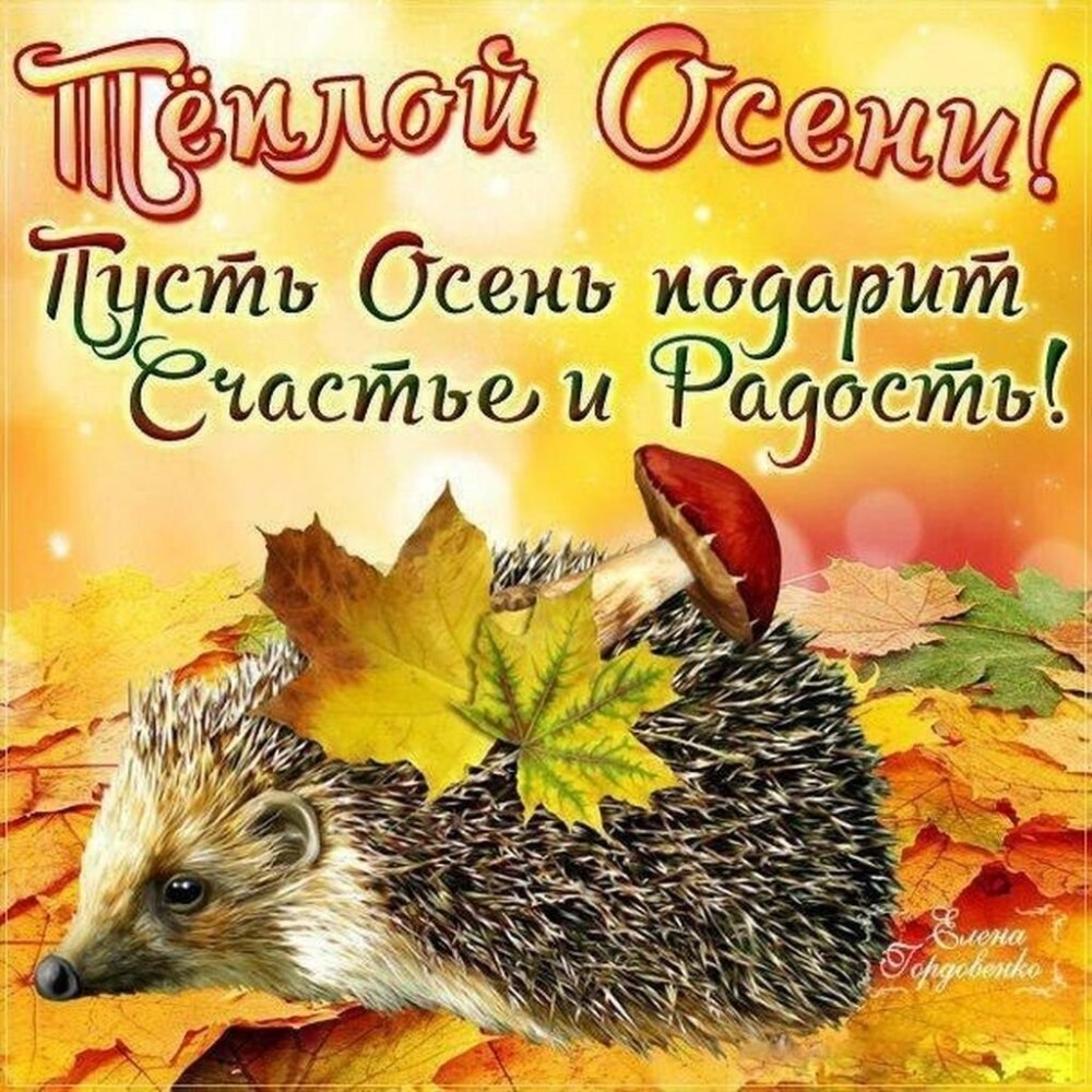 С первым днем осени рябина
