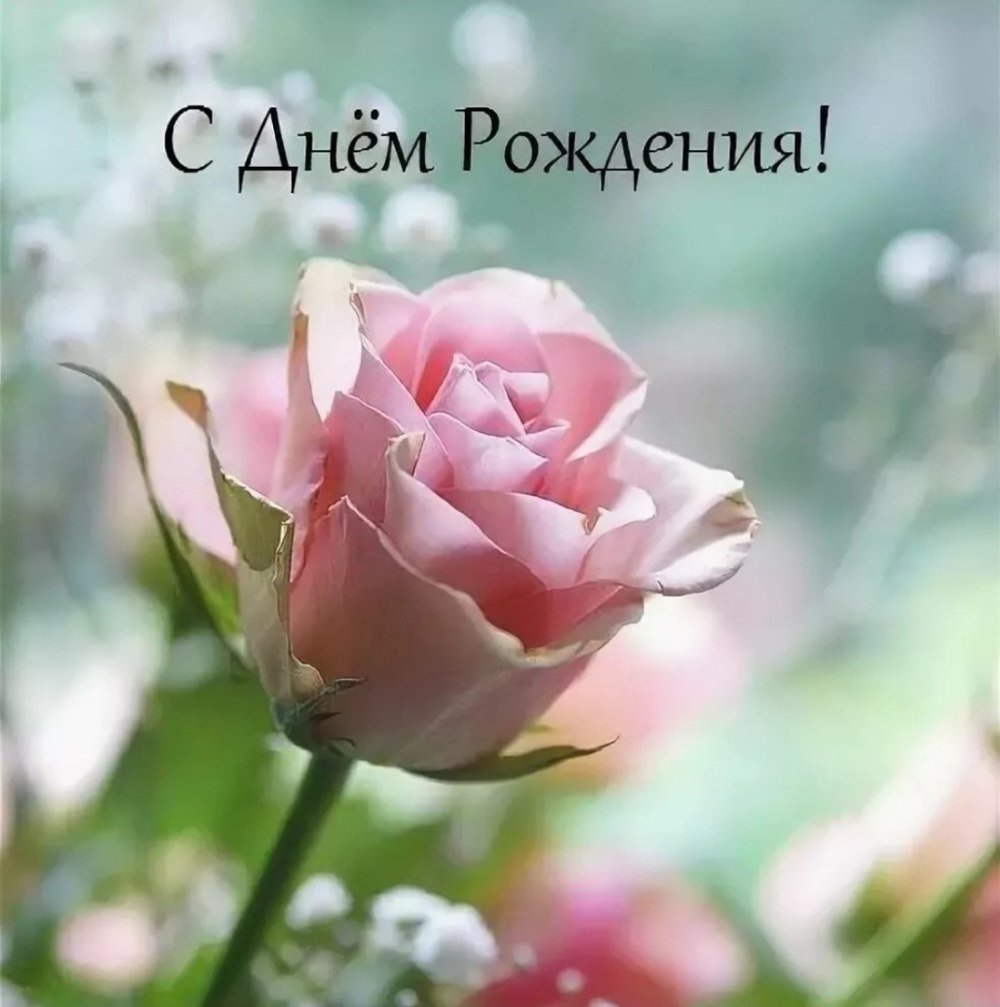 От коллектива и от себя лично поздравляем вас